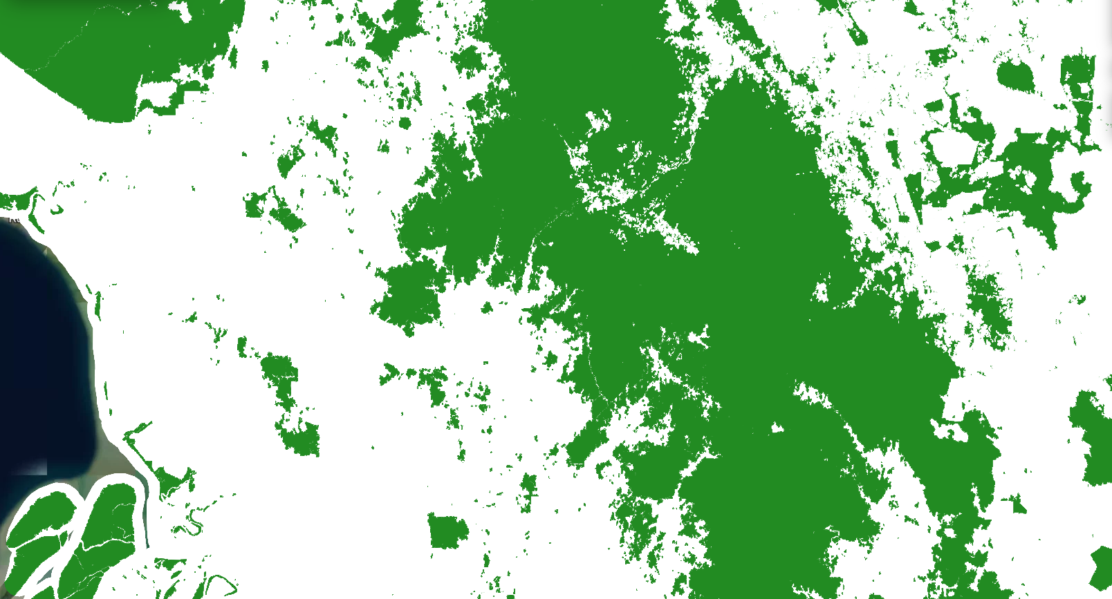 Forest and non-forest map from an instant carbon eligibility check