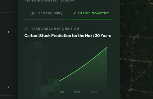 SastenaScreen 20-year carbon stock projection chart