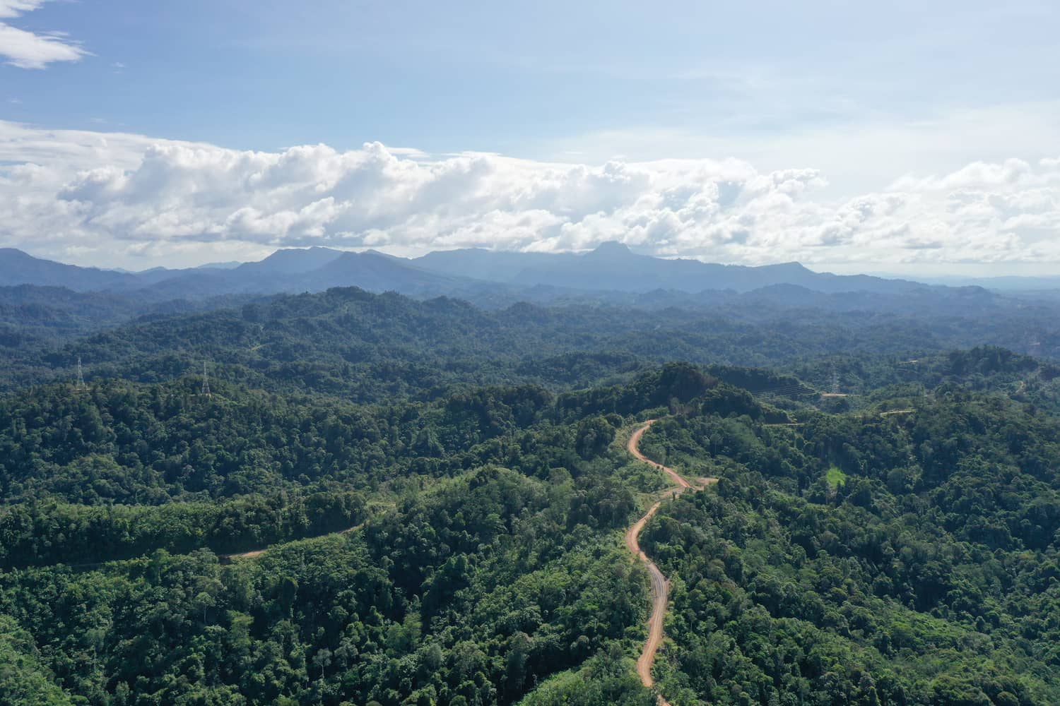 Aerial view of dense tropical forest canopy
